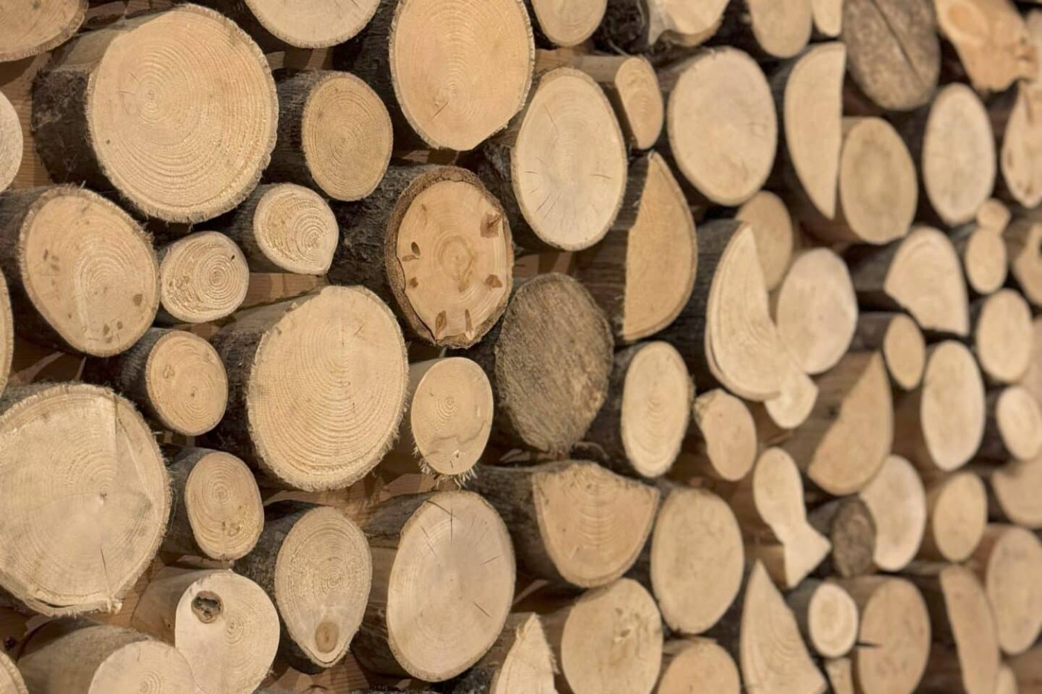 la grange groupe restoleil (22)